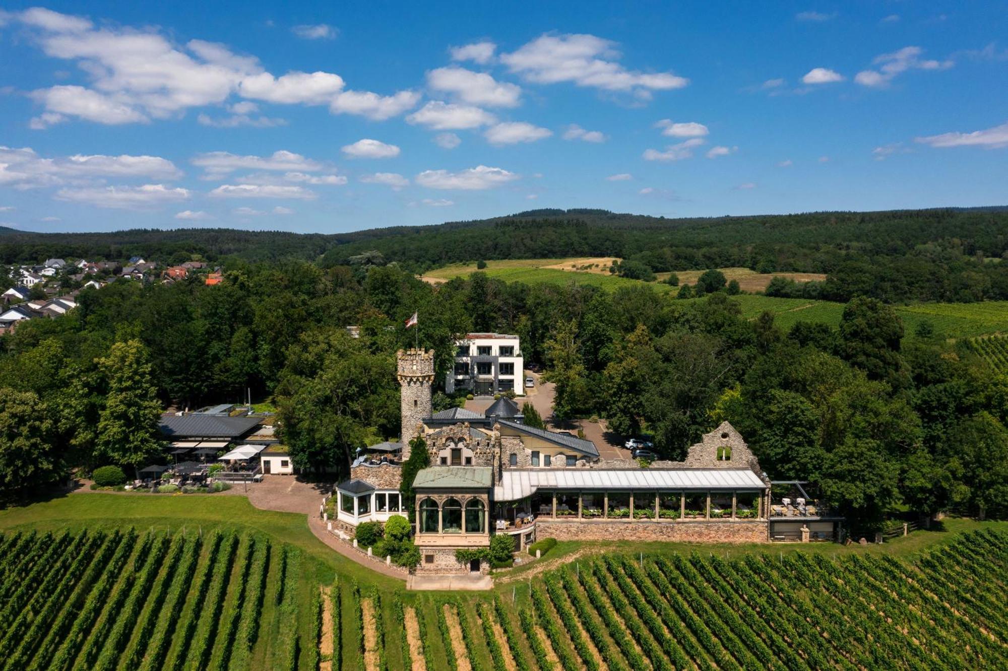Relais & Chateaux Hotel Burg Schwarzenstein Geisenheim Kültér fotó