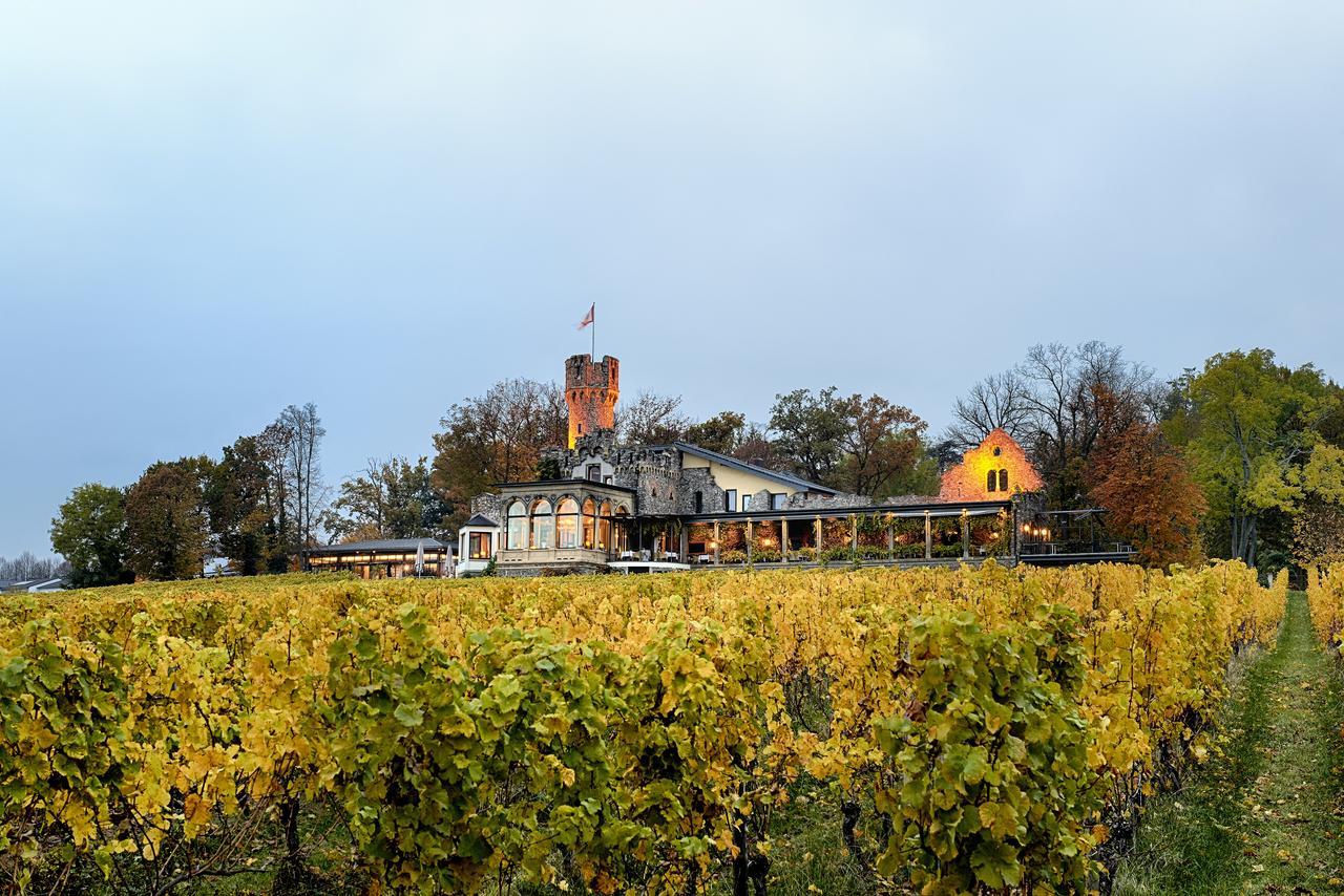 Relais & Chateaux Hotel Burg Schwarzenstein Geisenheim Kültér fotó